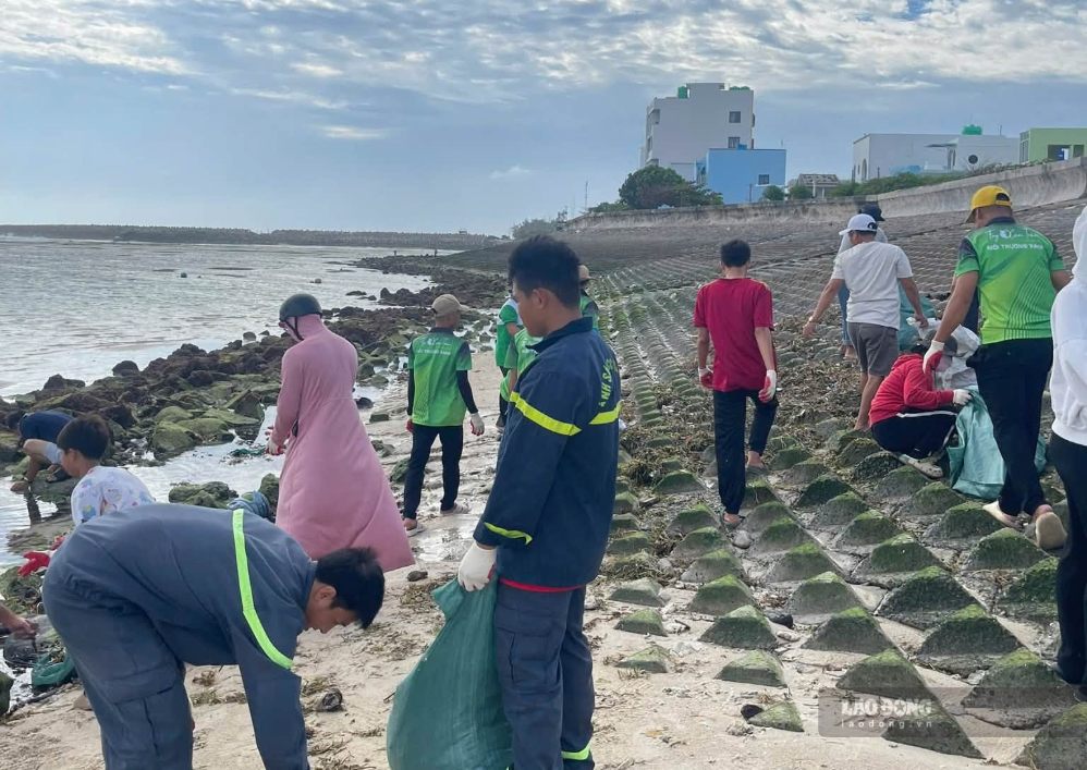 Tourists, volunteers and police officers collect garbage at the beach on Phu Quy island. Photo: Duy Tuan