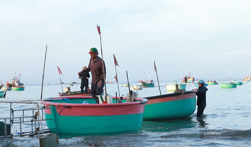 Thuyền thúng của ngư dân vào bờ sau một đêm ra khơi. Ảnh: Duy Tuấn