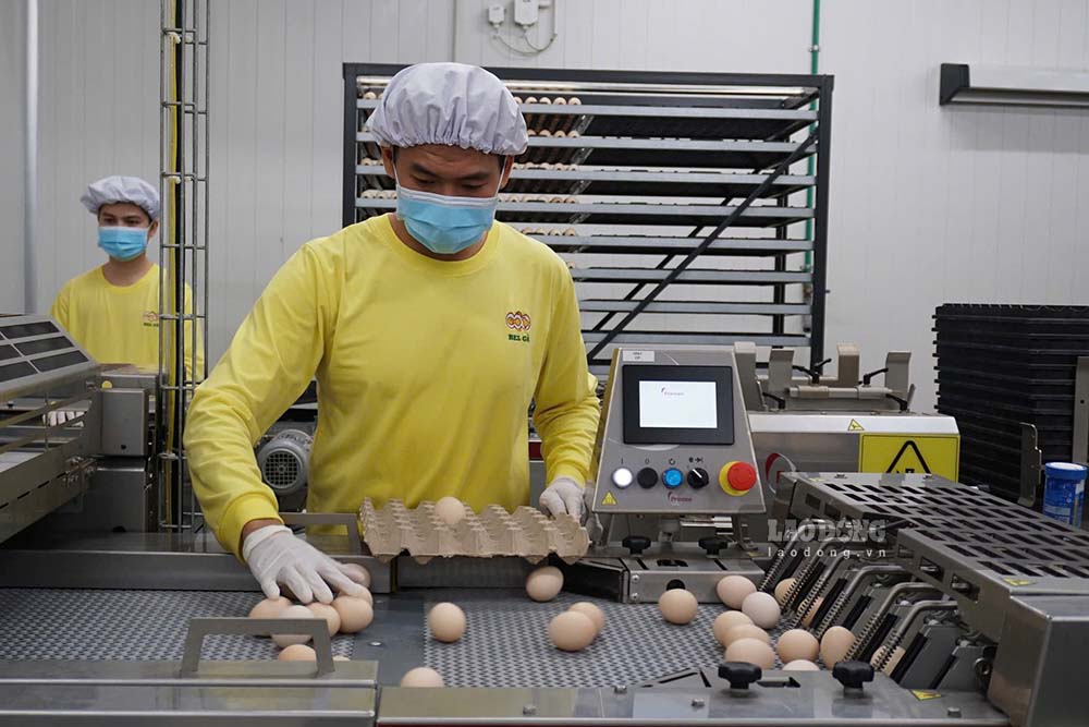 Tây Ninh xác định sự đồng hành thực chất với doanh nghiệp là một trong những nền tảng quan trọng để hướng tới tăng trưởng bền vững. Ảnh: Thanh Vũ