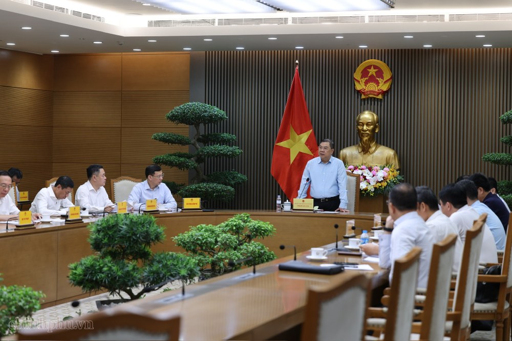 Các đại biểu tham dự cuộc họp. Ảnh: VGP