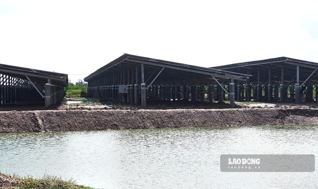 Một dự án điện mặt trời trên đất nuôi trồng thuỷ sản tại Cà Mau. Ảnh: Nhật Hồ.