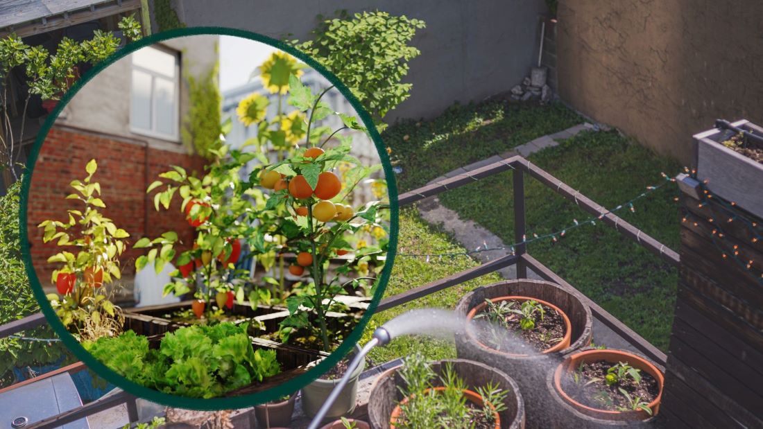 Green trees are a factor contributing to bringing freshness to the rooftop space. Graphics: Thanh Thanh/Source: Canva