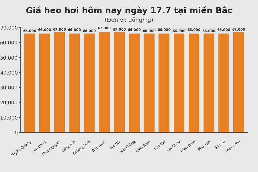 Giá heo hơi hôm nay 17.7 tại khu vực miền Bắc. Đồ họa: Sử dụng AI