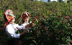 Sơn La đặt mục tiêu giảm nghèo, phát triển vùng đồng bào dân tộc thiểu số