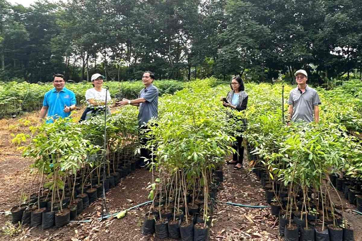 Vung Tau Ward surveys planting and flower selection to deploy green projects. Photo: Vung Tau Ward Fatherland Front