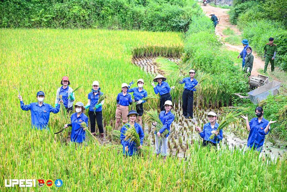 Đoàn viên, sinh viên các trường đại học, cao đẳng trên địa bàn tỉnh Bắc Ninh hỗ trợ người dân xã Cao Lộc thu hoạch nông sản trong Chiến dịch Mùa hè xanh 2026. Ảnh: 