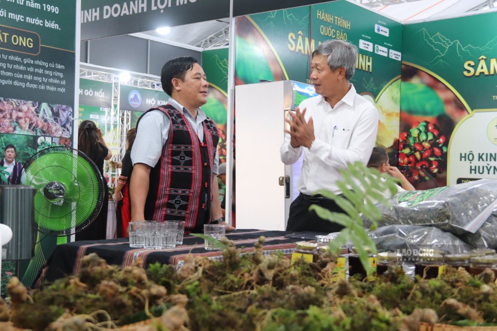 Da Nang city leaders commit to refund customers if fake ginseng is discovered at the Da Nang International Ngoc Linh Ginseng Festival 2026. Photo: Nguyen Linh