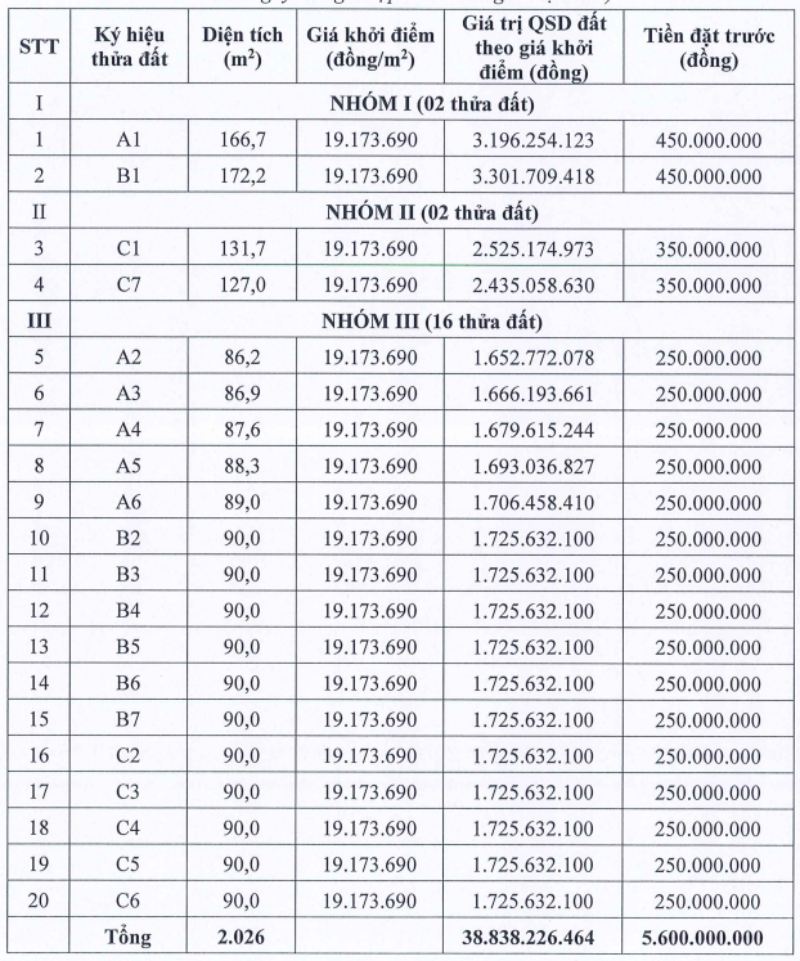 Ảnh: Công ty Đấu giá Hợp danh Số 5 - Quốc gia