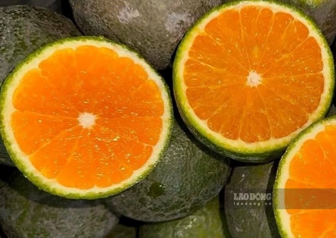 If you regularly drink orange juice, choose pure orange juice, without added sugar, and drink in moderation. Photo: Kieu Vu.