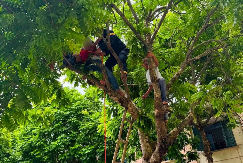 Rescue and relief forces successfully rescued a mental patient trapped on a treetop. Photo: Thanh Hoa Fire and Rescue Police Department provided