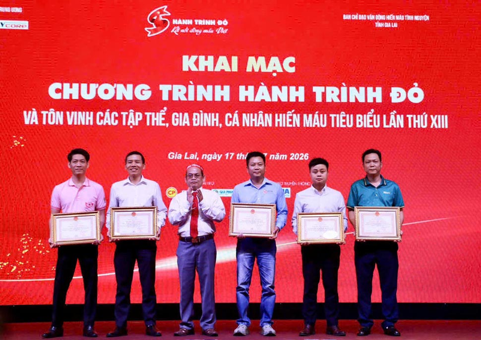 Trao tặng Bằng khen cho các cá nhân, tập thể có thành tích xuất sắc. Ảnh: Ban tổ chức