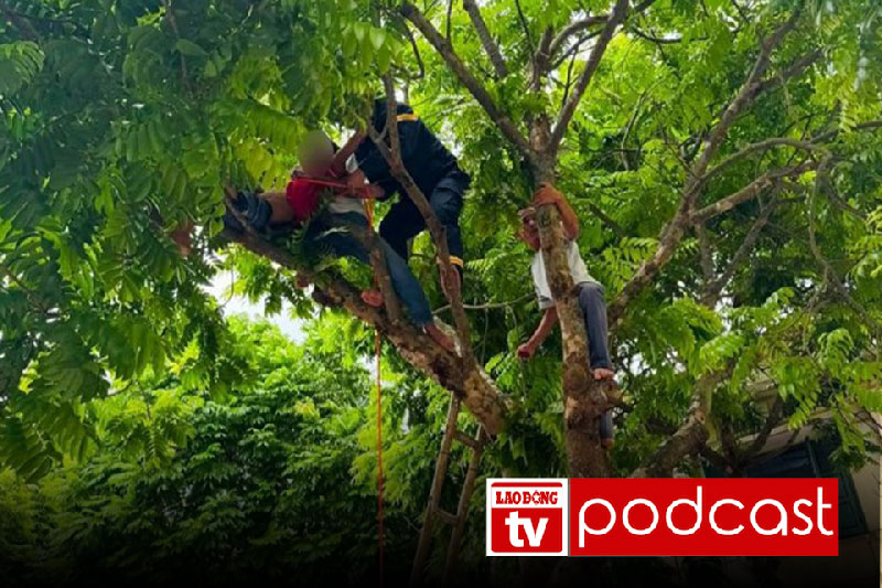 Morning news 18.7: Mentally ill patient rescued after hours of being trapped on a tree