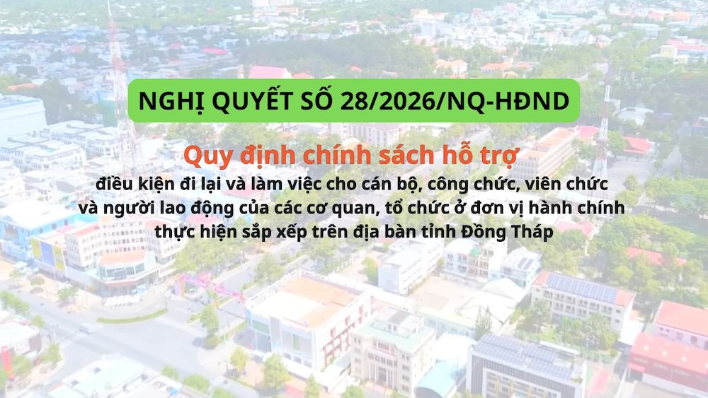 동탑성 인민의회가 발표한 결의안 28/2026/NQ-HĐND는 동탑성 지역에서 재편성을 시행하는 행정 단위의 기관 및 조직의 간부, 공무원, 직원 및 노동자의 이동 및 근무 조건 지원 정책을 규정합니다. 그래픽 사진: Phong Linh.