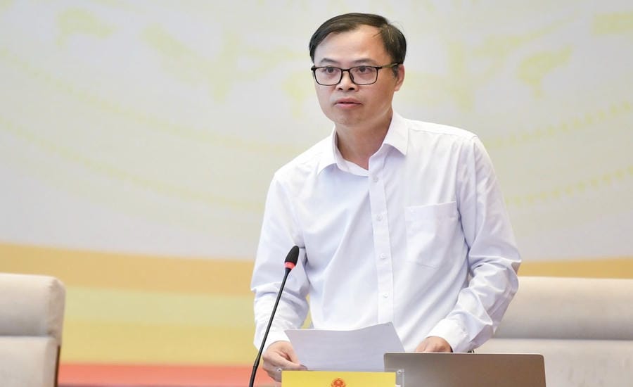 Mr. Pham Ngoc Thach - Deputy Head of Legal Department, Vietnam Chamber of Commerce and Industry (VCCI). Photo: Character provided
