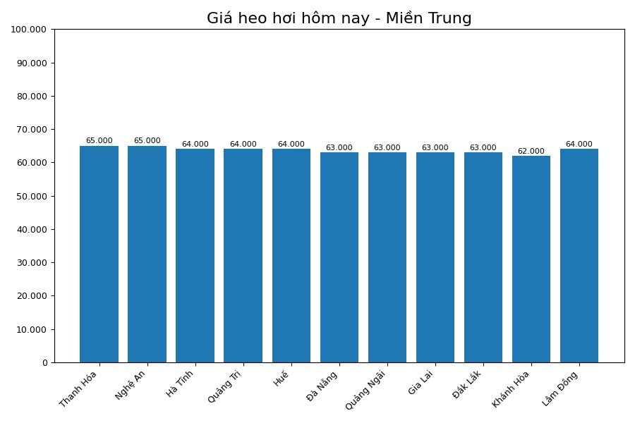 Giá heo hơi hôm nay 18.7 tại khu vực miền Trung. Đồ họa: Sử dụng AI