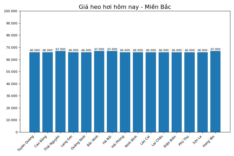 Giá heo hơi hôm nay 18.7 tại khu vực miền Bắc. Đồ họa: Sử dụng AI