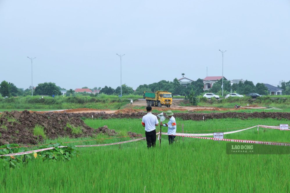 Lực lượng chức năng tổ chức đo đạc, căng dây và gắn biển tại các thửa đất cưỡng chế kiểm đếm. Ảnh: Tô Công