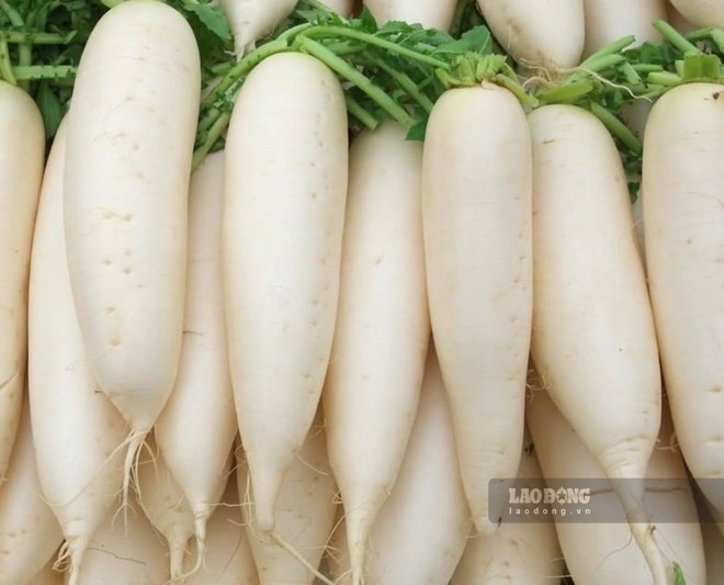 Radish is a familiar vegetable in meals, low in calories, rich in fiber and vitamin C, which helps nourish liver and kidneys. Photo: Thuy Duong.