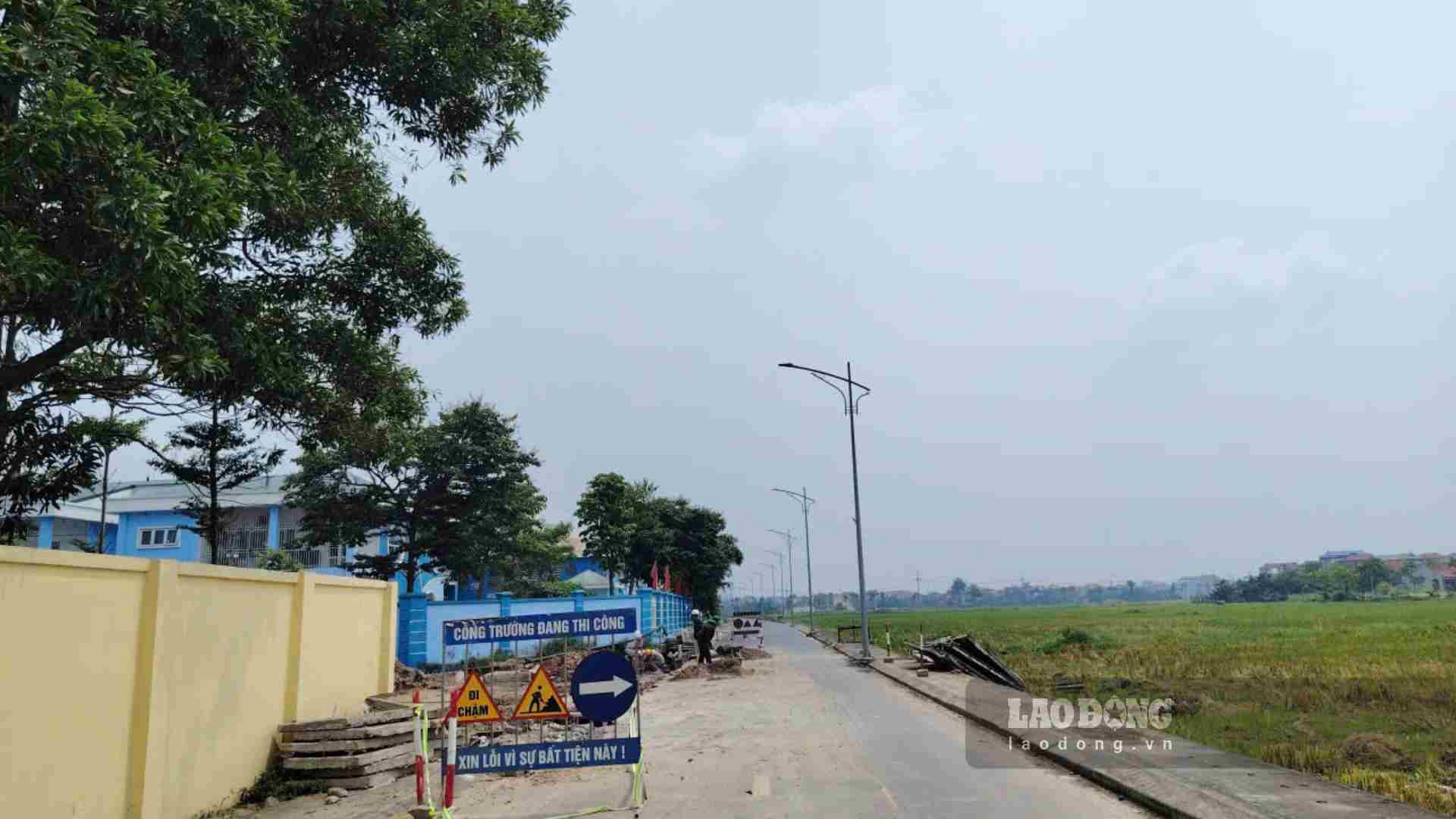 Some cases proposed for non-agricultural land tax exemption. Photo: Xuyen Dong