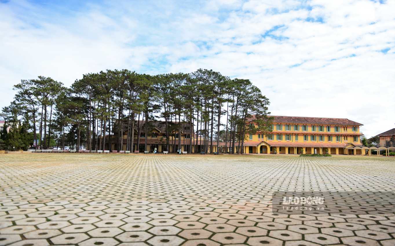 Từ sân trường, có thể phóng tầm mắt chiêm ngưỡng dãy lớp học cổ kính nằm bên hàng thông xanh - điểm nhấn làm nên danh tiếng của ngôi trường gần 100 năm tuổi. Ảnh: Phúc Khánh 
