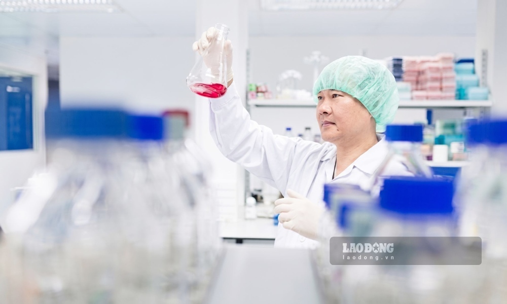 Assoc. Prof. Phan Toan Thang with the "popularization" revolution of stem cell technology. Photo: Hong Anh