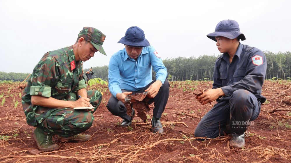 Team K72 discovered 2 locations with artifacts and remains of martyrs in Minh Duc commune, Dong Nai city. Photo: HAC