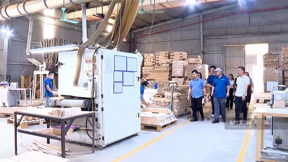 Kiểm tra việc chấp hành pháp luật tại doanh nghiệp