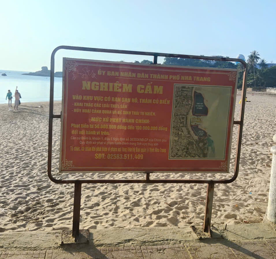 Mặc dù có bảng cảnh báo nhưng việc nhặt, bẻ san hô vẫn diễn ra. Ảnh: Ban Quản lý Vịnh Nha Trang