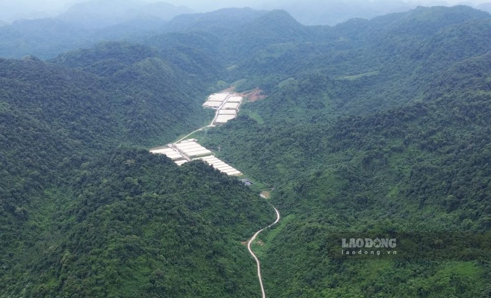 The pig farm where the serious accident occurred, killing 5 people and injuring 2 others. Photo: Minh Hoang
