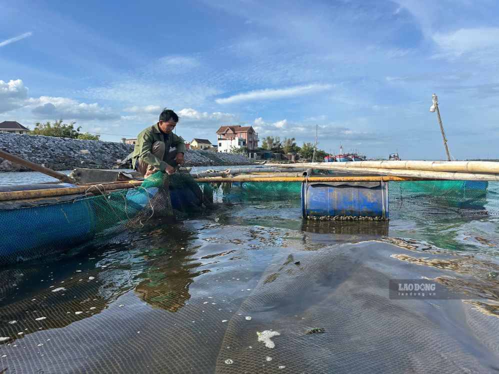 Người nuôi cá lồng bè trên sông Hiếu ở xã Cửa Việt bị thiệt hại nặng vì toàn bộ cá nuôi bị chết, họ mong muốn làm rõ nguyên nhân, có biện pháp hỗ trợ, xử lý. Ảnh: Hưng Thơ