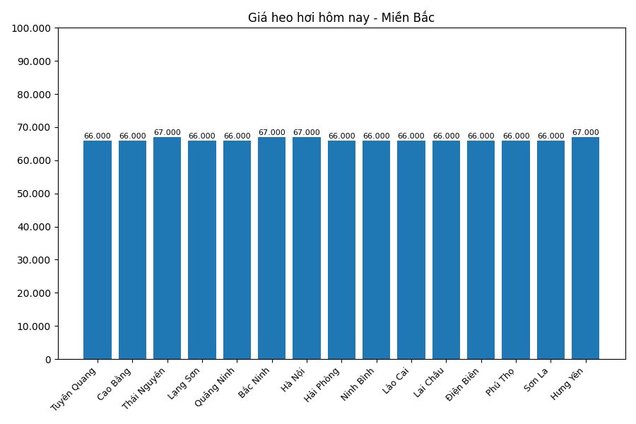 Giá heo hơi hôm nay 19.7 tại khu vực miền Bắc. Đồ họa: Sử dụng AI