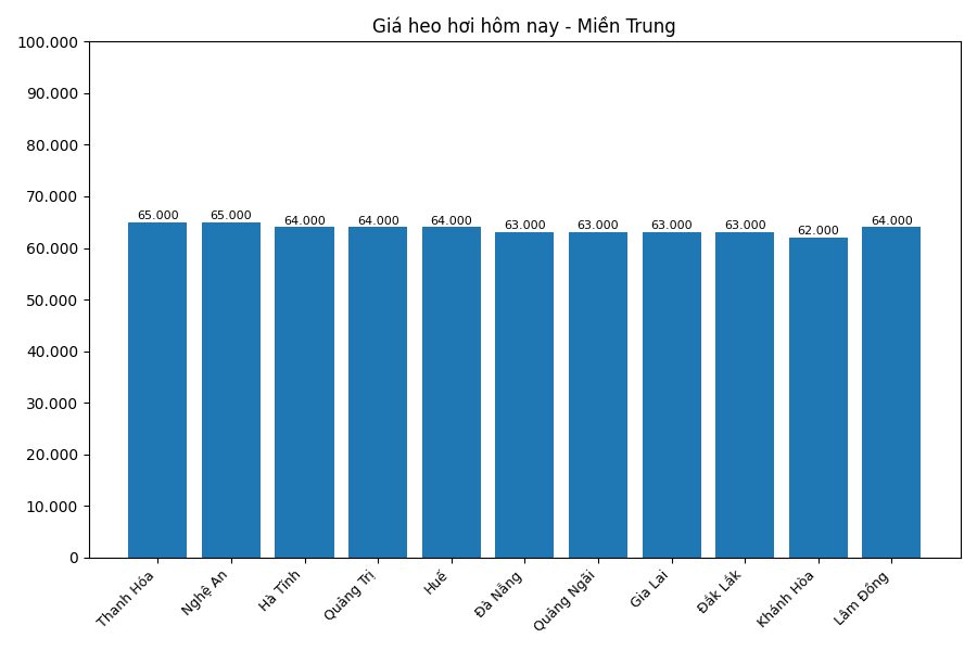 Giá heo hơi hôm nay 19.7 tại khu vực miền Trung. Đồ họa: Sử dụng AI