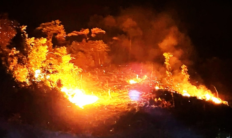 Forest fire at night in Da Nang, functional agencies mobilize many forces to urgently rescue. Photo: Que Phuoc Commune People's Committee