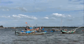 Test results reveal the cause of mass fish deaths in Quang Tri. Photo: Hung Tho