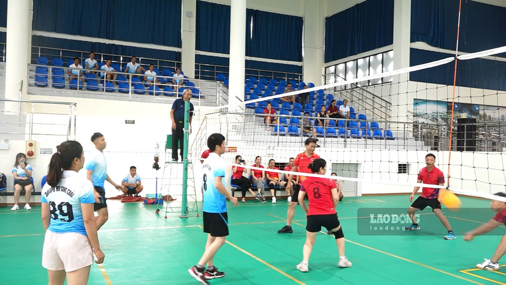 Các nội dung thi đấu diễn ra trong hai ngày 19 và 20.7. Ảnh: An Vi