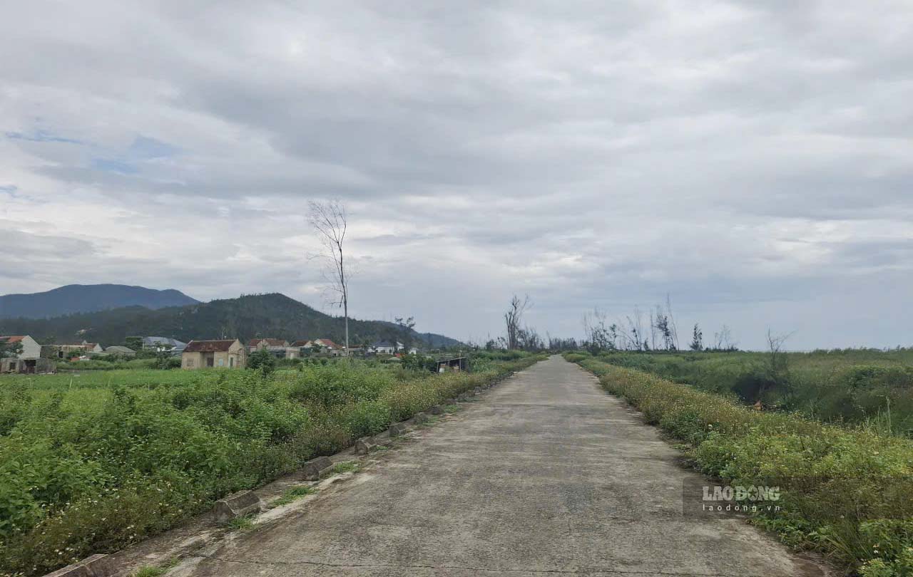 Làng mạc ở thôn Yên Điềm, xã Lộc Hà sát biển không còn cây rừng che chắn gió bão. Ảnh: Trần Tuấn