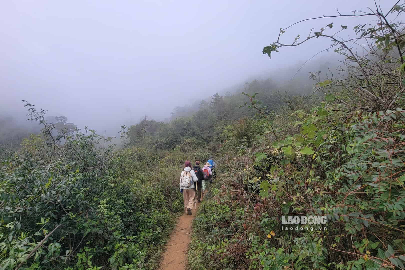 Trekking is increasingly chosen by many young people as a form of experiential tourism combining physical training and nature exploration. Photo: Trang Anh