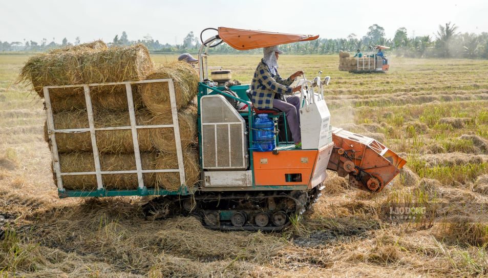 Áp dụng kinh tế tuần hoàn trong nông nghiệp giúp tạo thêm nguồn thu nhập cho người nông dân. Ảnh: Phương Anh