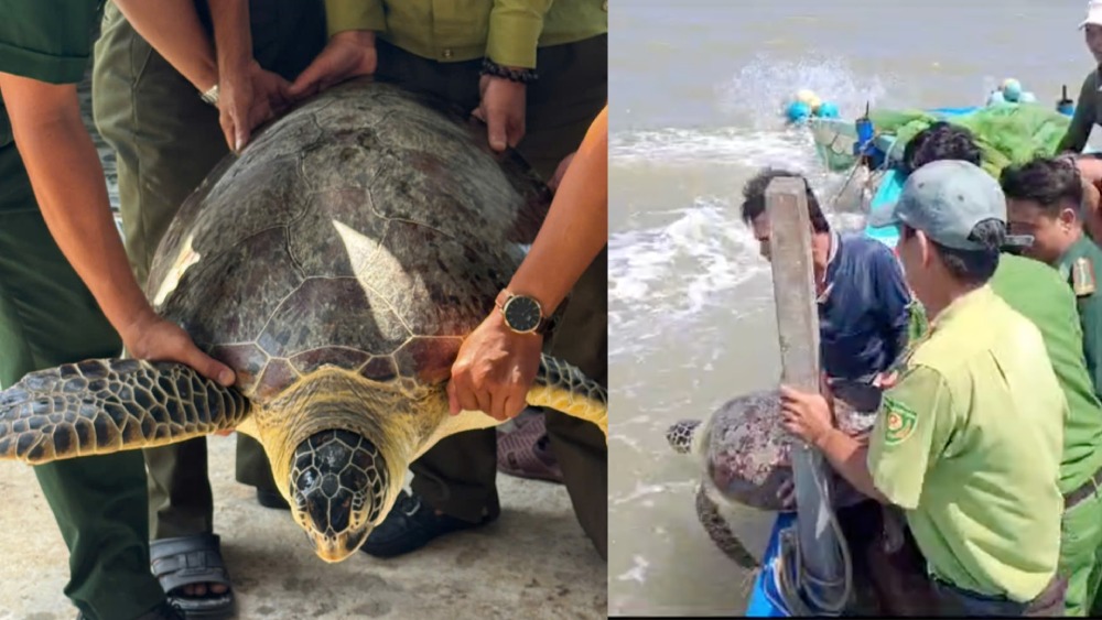 Fishermen and forces release lizardfish back to sea. Photo: Border Guard provided