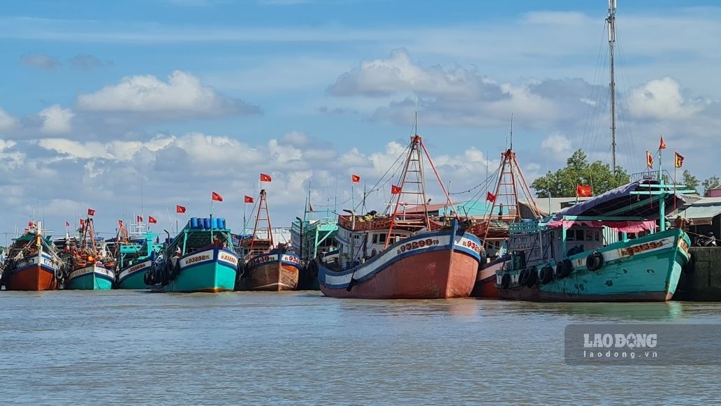 Ca Mau will digitize the agricultural sector, especially fishing vessel management. Photo: Nhat Ho.