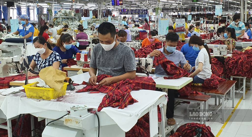 Hàng hàng may xuất khẩu hiện có rất ít tại Cà Mau dù giải quyết nhiều lao động phổ thông. Ảnh: Nhât Hồ.