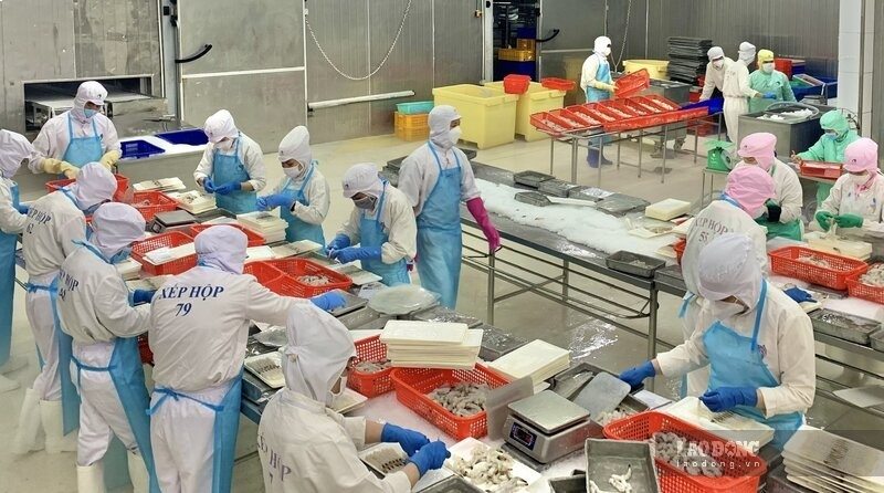 Trong 5 năm tới Cà Mau xác định chế biến thuỷ sản xuất khẩu chiến đến hơn 90% tổng kim ngạch xuất khẩu của tinh. Ảnh: Nhật Hồ.