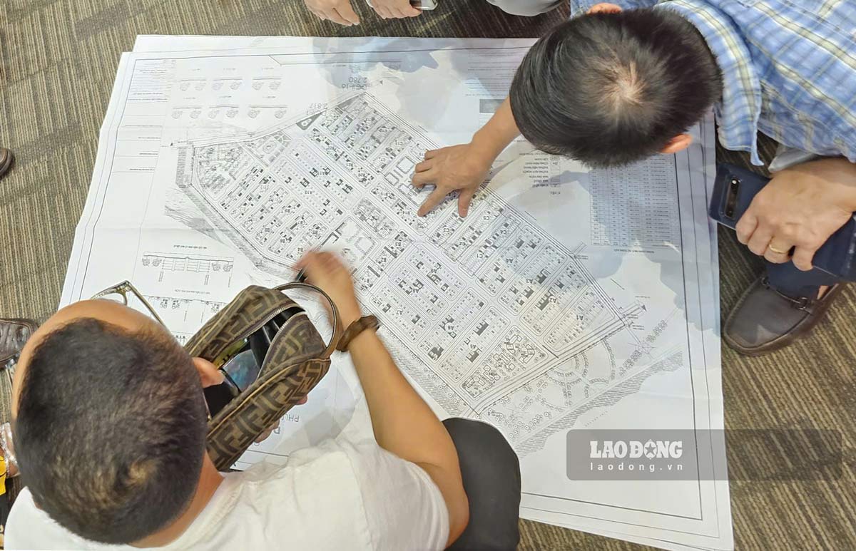 Secondary investors review project maps. Photo: Doan Hung