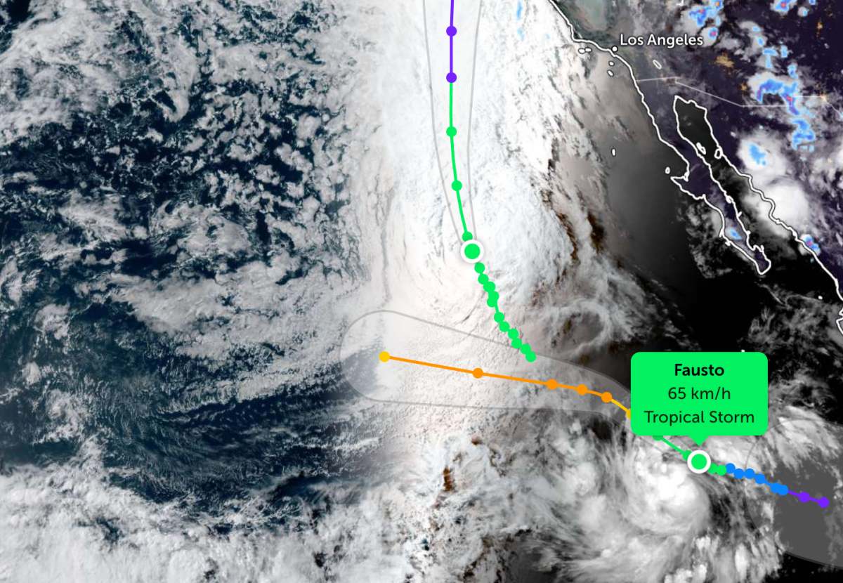 Tropical depression officially strengthens into a storm in the Pacific Ocean. Photo: JTWC