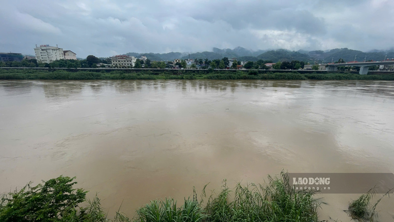 The water level of the Red River through Lao Cai rises, strong flow after heavy rain. Photo: Dinh Dai