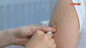 Vaccination proactive contre la rage, soutien au renforcement de la gestion des chiens et des chats