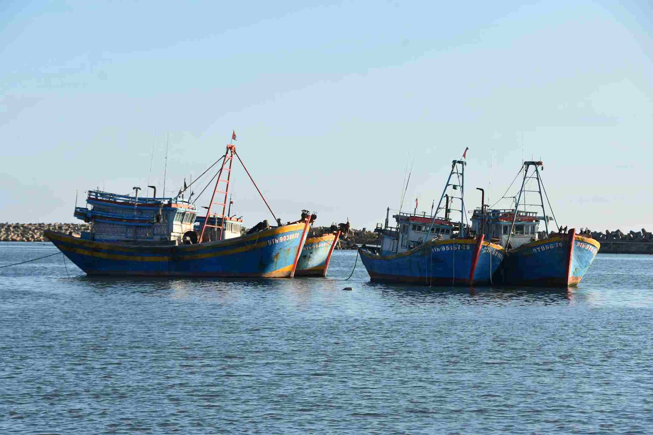 Ships and boats in the sea areas of Lam Dong have anchored to avoid safe shelter. Photo: Nguyen Giang
