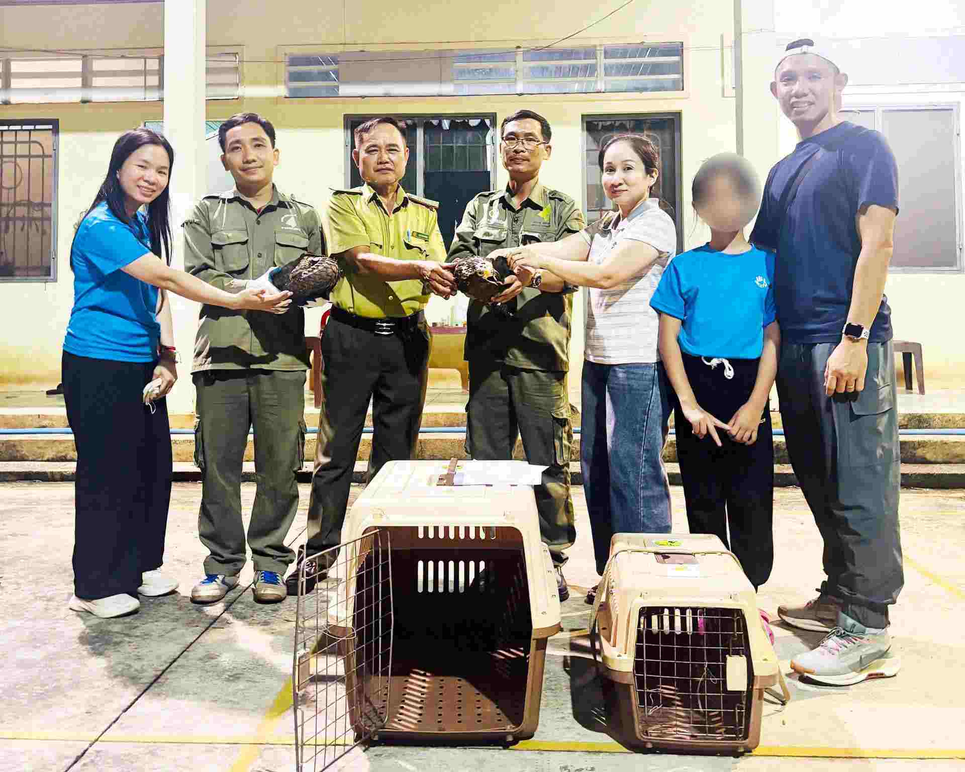 Rare Burmese pangolins and kites are handed over by households to functional agencies. Photo: Binh Phuoc Ward