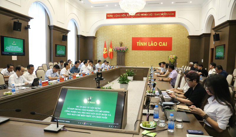 Proposal to invest nearly 600 billion VND in a high-tech breeding cow center in Lao Cai. Photo: Thanh Thuy