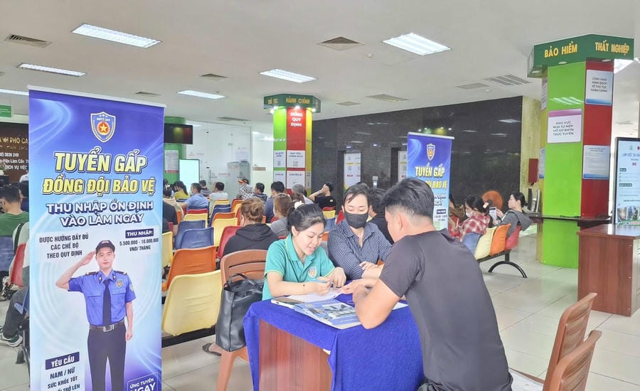Workers looking for jobs at the Can Tho Employment Service Center. Photo: Huong Nha